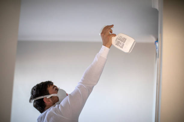 Best Commercial Mold Removal  in Holiday, FL