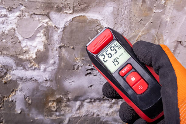 Best Mold Testing  in Holiday, FL