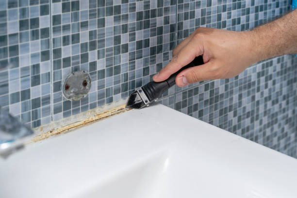 Best Mold Cleaning Services  in Holiday, FL